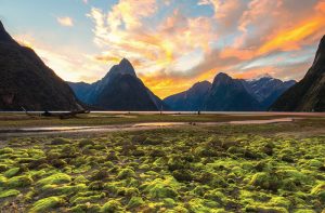 Visiting Cloudy Bay in New Zealand's Wine Region - World of Wanderlust